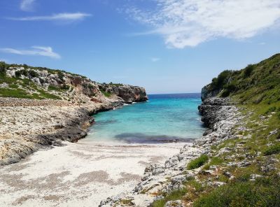 cala sequer fe816ad7