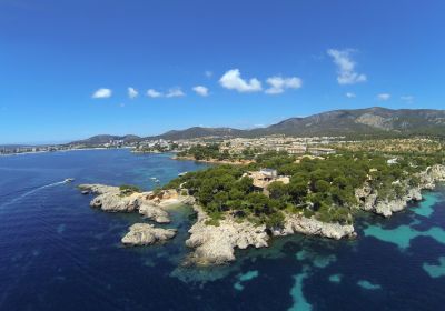 image punta negra scaled 3724a633